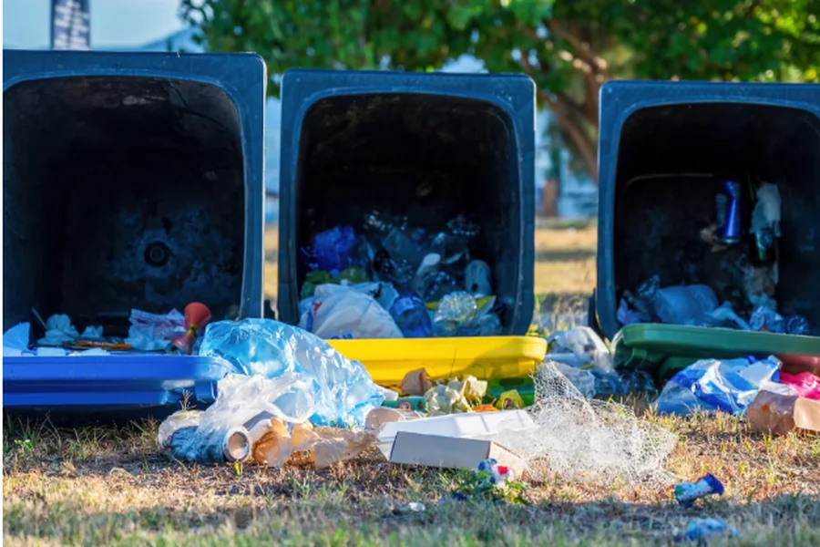 Professional Waste Collection Services