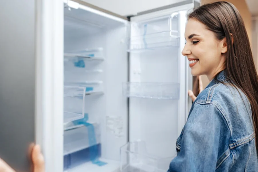 Top-Quality, Energy-Saving Refrigerators in Singapore Prices, Reviews, and Buying Guide
